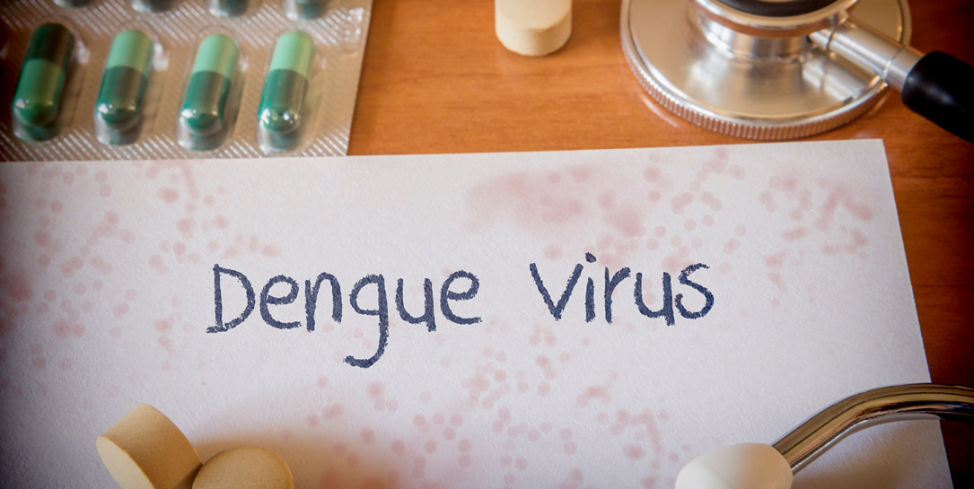 Dengue Schutz Bali Reise Gesundheitsrisiken Dengue Schutz Bali Reise Gesundheitsrisiken