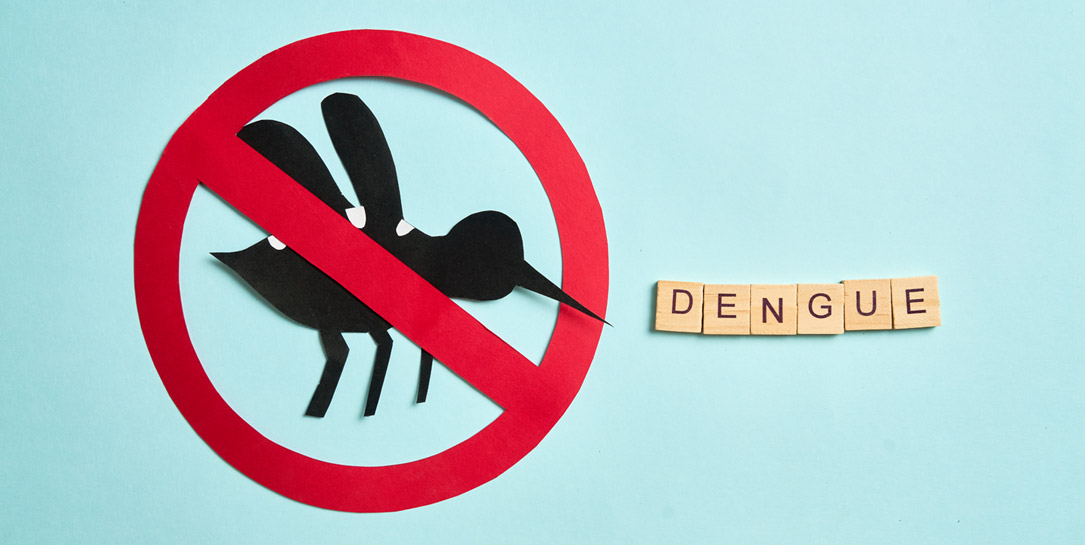 Mückenschutz gegen Dengue-Fieber in Malaysia